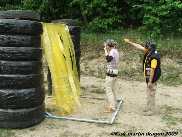 Mosquito 2009