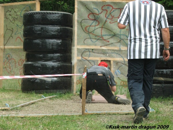 Mosquito 2009