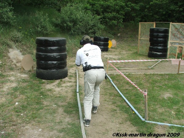 Mosquito 2009