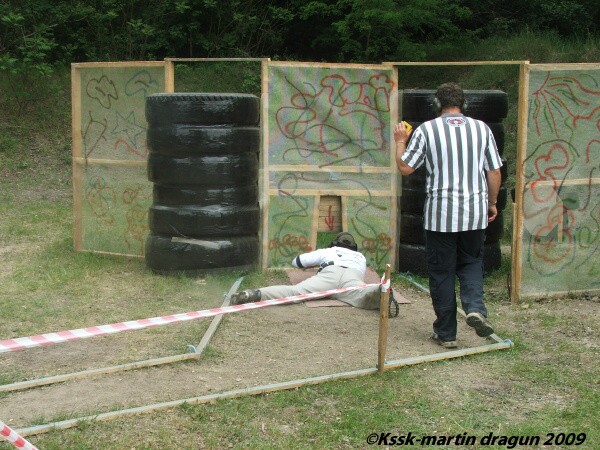 Mosquito 2009
