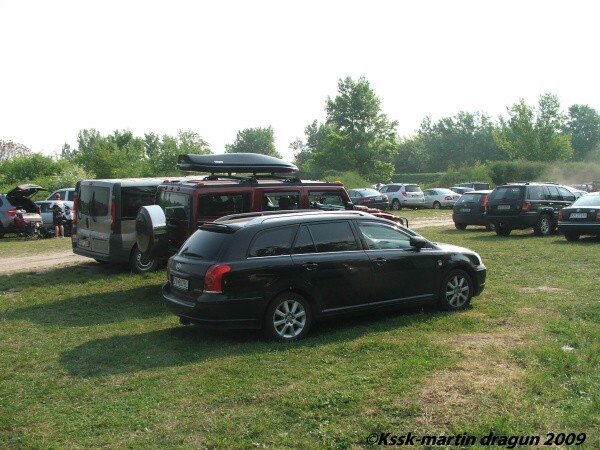 Mosquito 2009