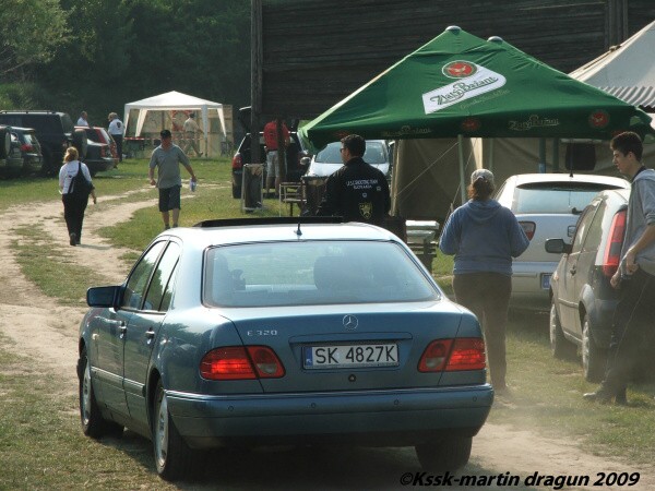 Mosquito 2009