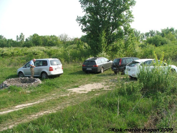 Mosquito 2009