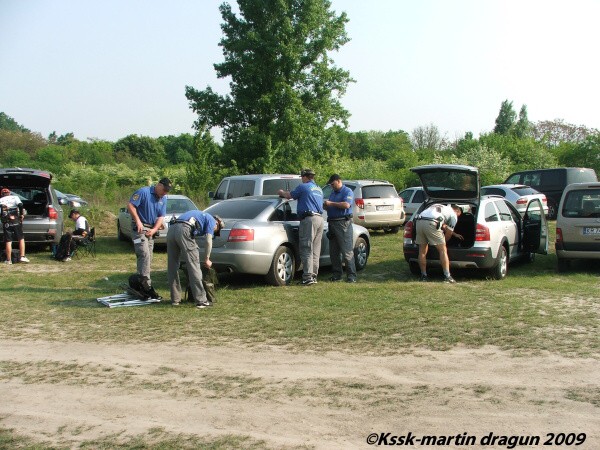 Mosquito 2009