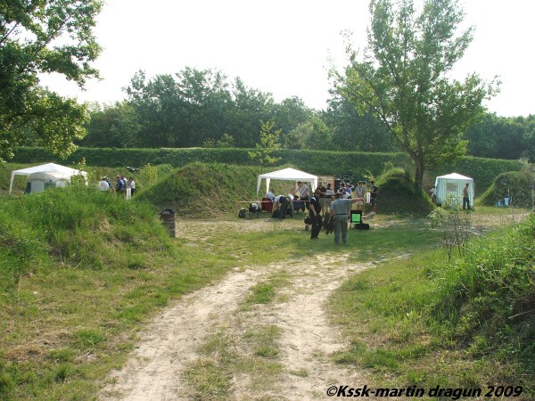 Mosquito 2009