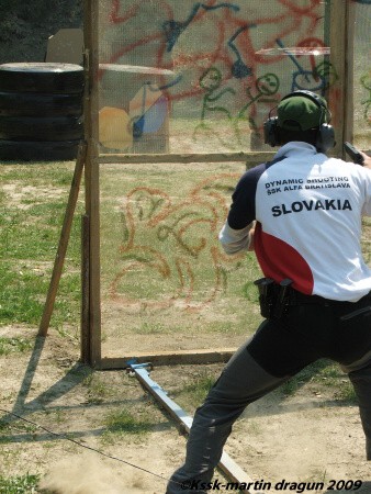 Mosquito 2009