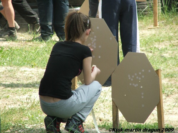 Mosquito 2009