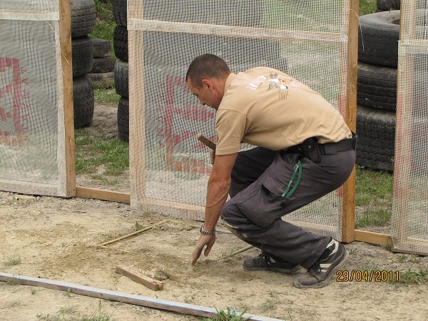 Mosquito 2011