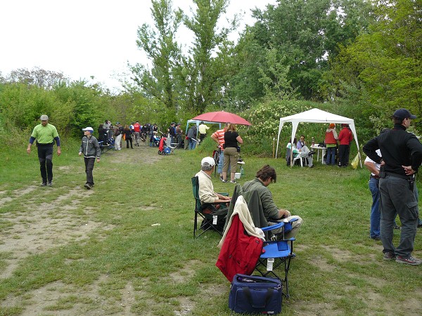 Mosquito 2011